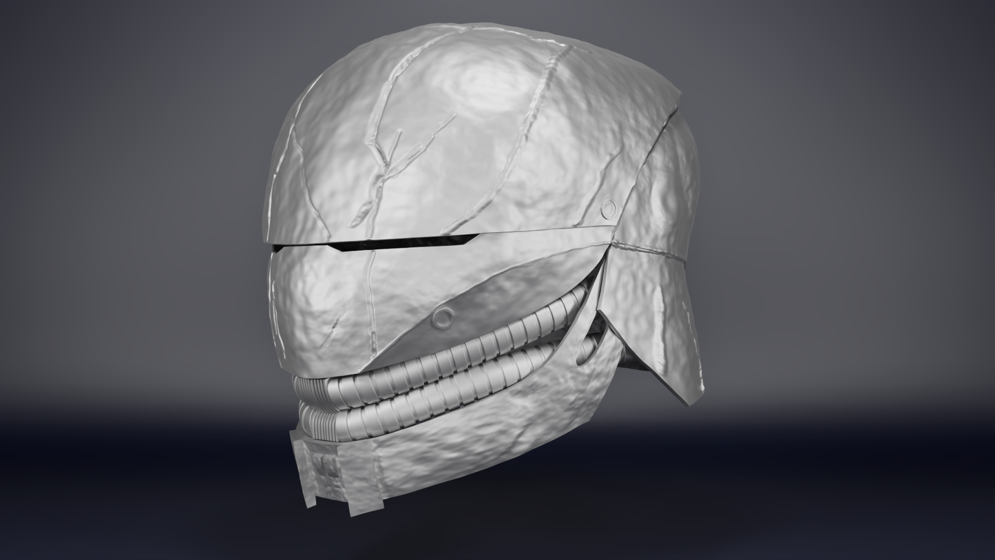 The Stranger/Qimir's helmet files