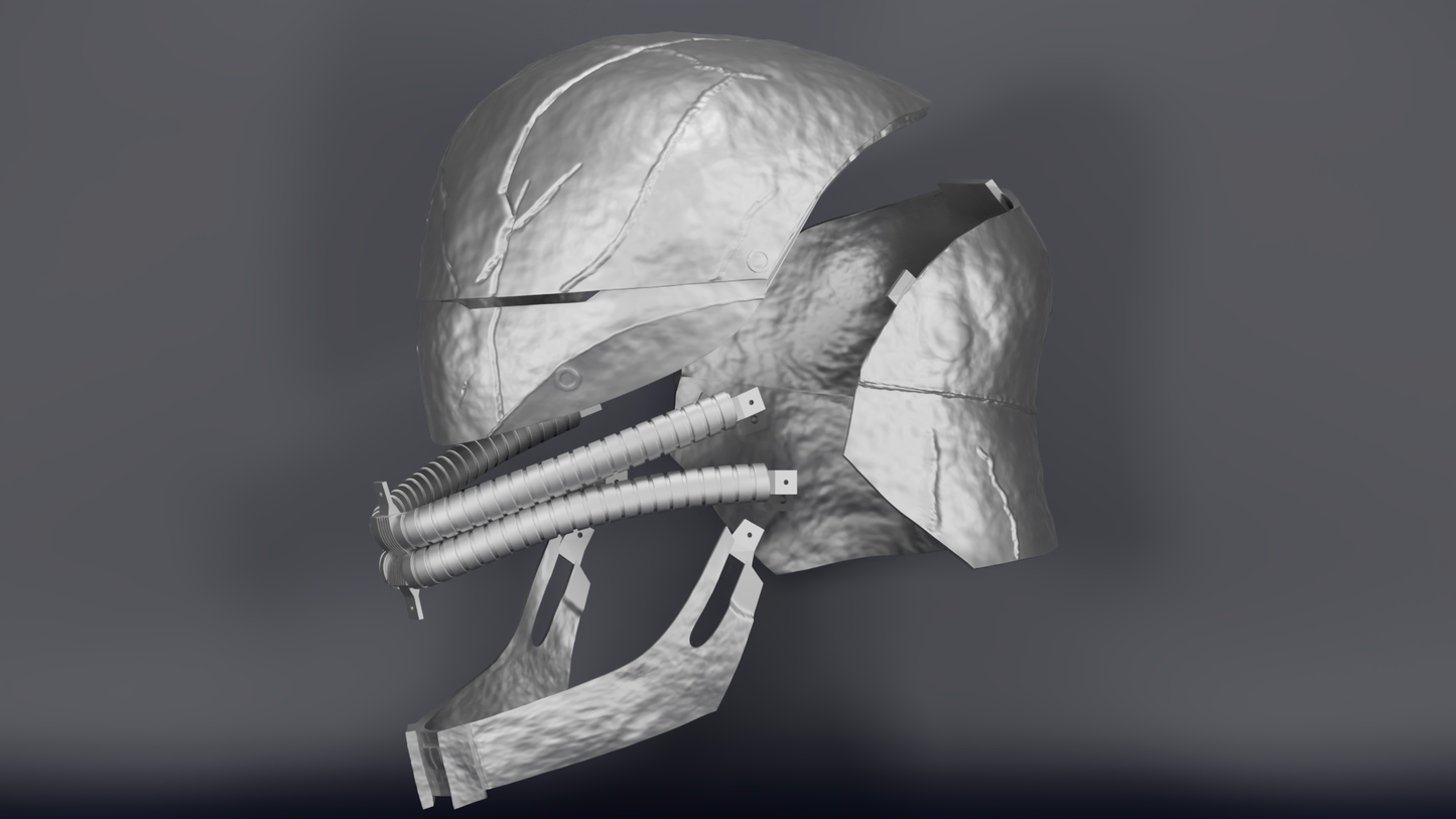 The Stranger/Qimir's helmet files